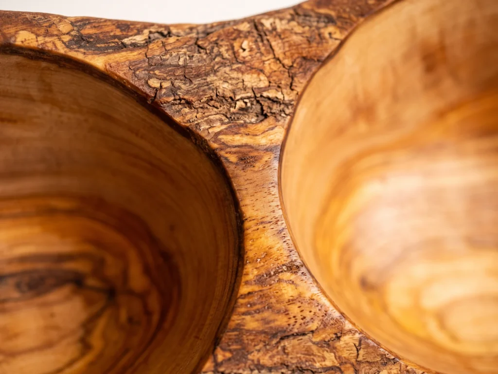 Macro close-up of natural bark rim and carved compartment divider on rustic dish BL-3